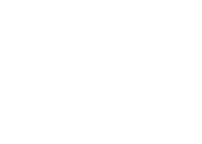 Dr. Pedro Reggiani logo